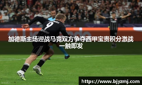 好博